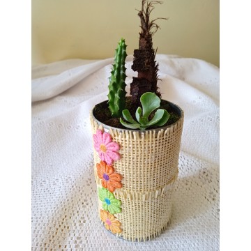Succulent combo in colourful pot