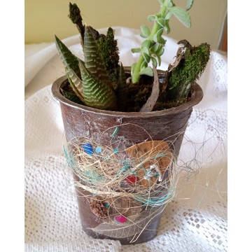 Interesting recycled pot with succulents, bark and moss