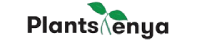 Plantskenya Marketplace